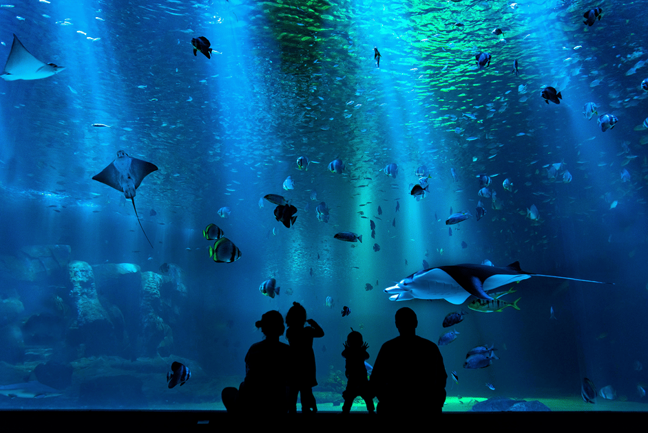 Baltimore Aquarium