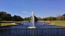 Hampton Park Charleston