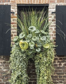 Hutson Alley Charleston