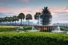 Pineapple Fountain Charleston