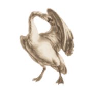 An illustration of a swan